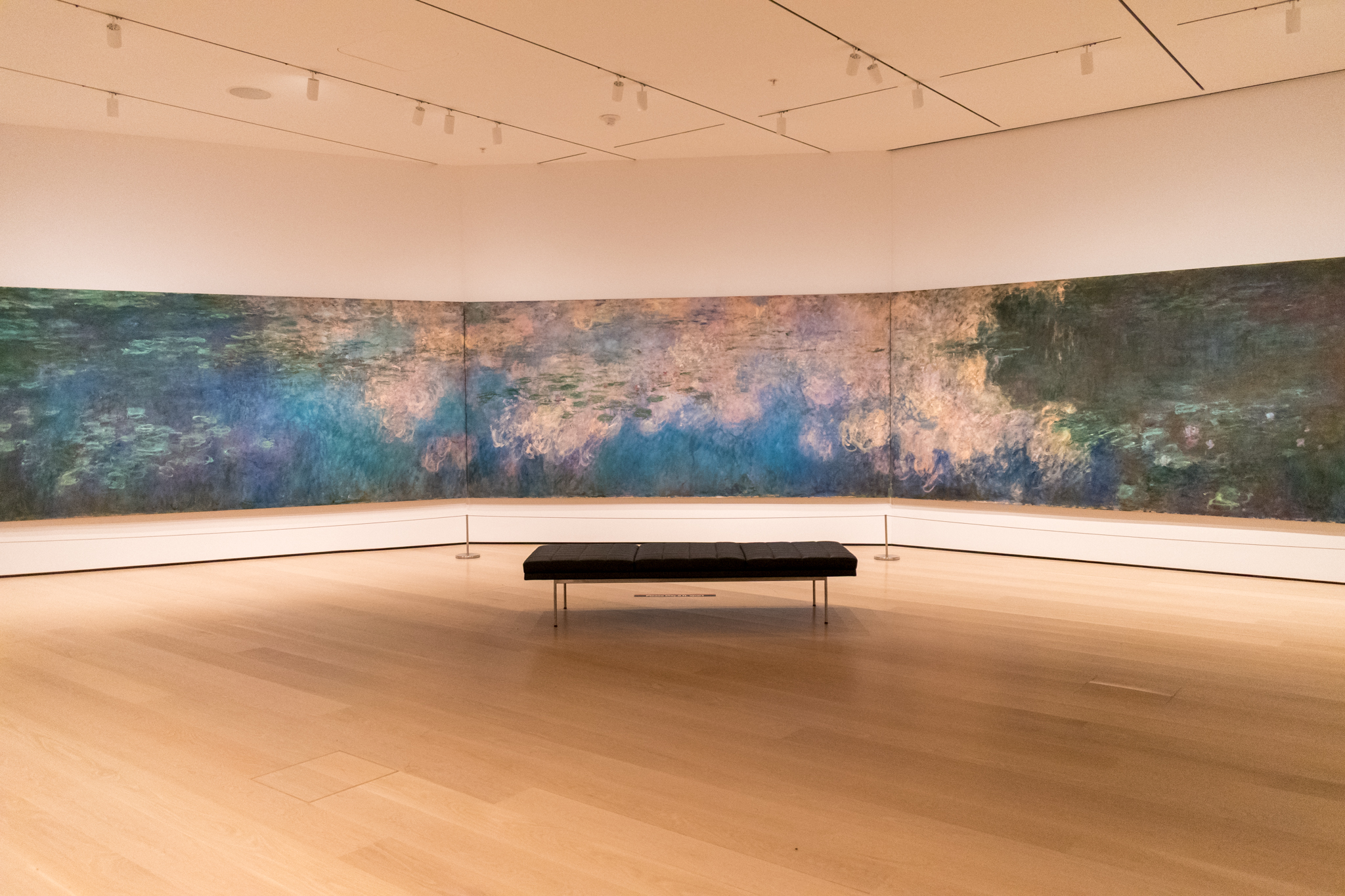 An almost-empty museum gallery, Monet’s Water Lilies wrapping the walls, a single bench before them